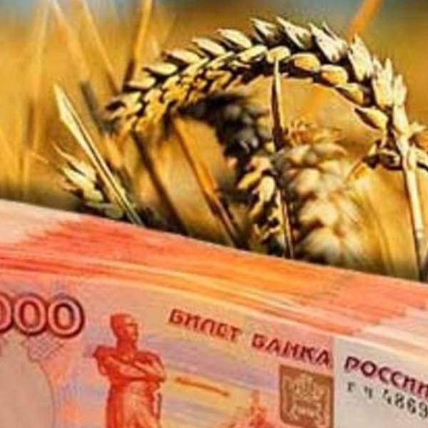 Меры Государственной поддержки предприятий АПК Ярославской области в 2022 году