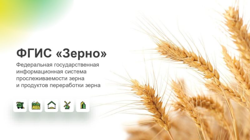 В России заработала ФГИС «Зерно». С 1 сентября без подключения к системе невозможно будет продавать и покупать зерно.