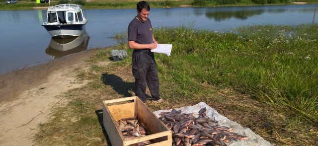 Инспекторским составом рыбоохраны совместно с департаментом АПКиПР снова задержан браконьер