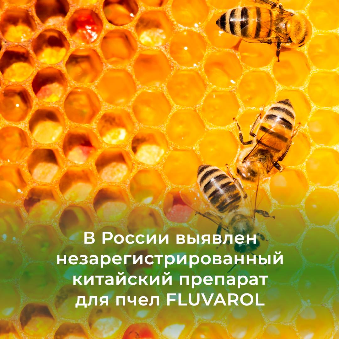 Россельхознадзор выявил на территории России незарегистрированный китайский препарат для лечения и профилактики варроатоза пчел FLUVAROL.