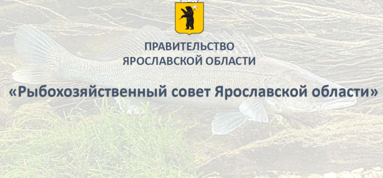 Рыбохозяйственный совет Ярославской области