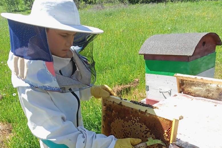 Пчеловод из Угличского района наращивает производство меда с использованием гранта «Агростартап»