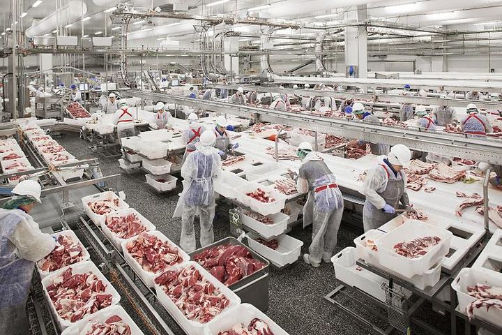 Колбаса в плюсе: перспективы мясоперерабатывающей отрасли в России