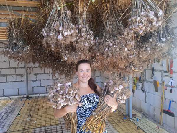 Предприниматель из Некрасовского района выращивает чеснок на средства гранта «Агростартап»