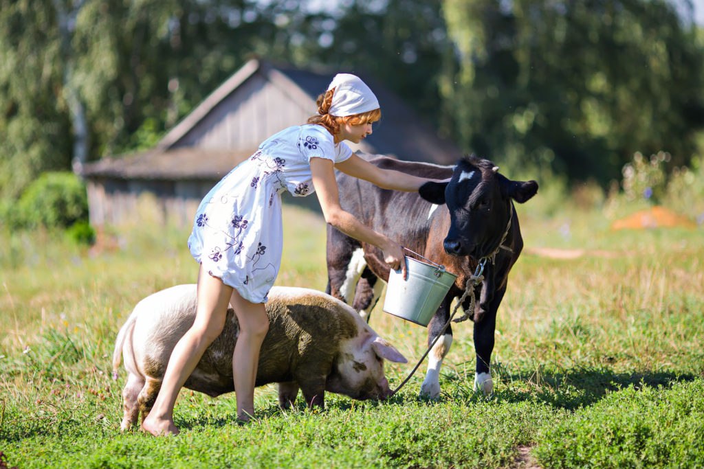 Общественная палата Российской Федерации проводит опрос «Гражданская активность на сельских территориях».