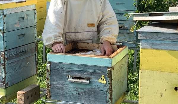 Двадцать лет пчеловодческого стажа