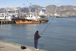 Вылов рыбы в России в 2023 году оказался рекордным за последние 30 лет