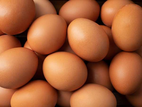 ФАС направила в регионы рекомендации для соглашений о стабилизации цен на яйца