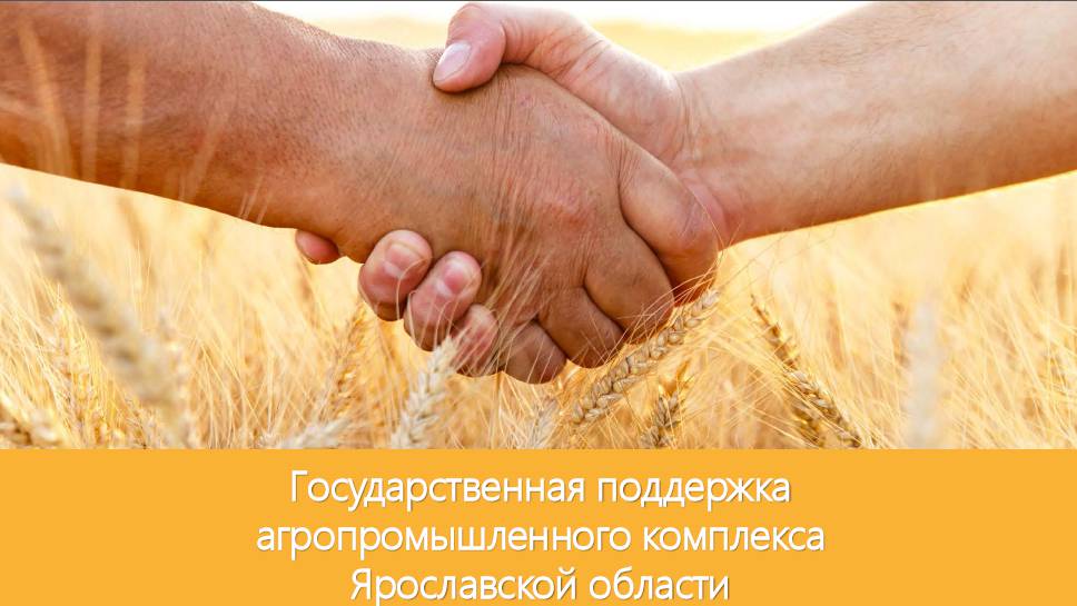 Государственная поддержка агропромышленного комплекса Ярославской области