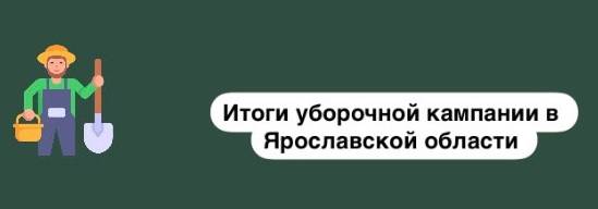 Валовый сбор масличных культур увеличился в 1,5 раза в Ярославской области!