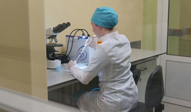 В Угличе в 2027 году появится производство заквасок с инвестициями 4,2 млрд руб.